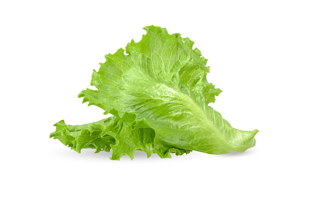 Lettuce Wrap
